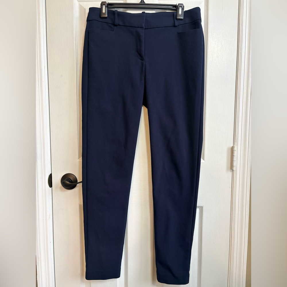 LOFT Navy Skinny Pants